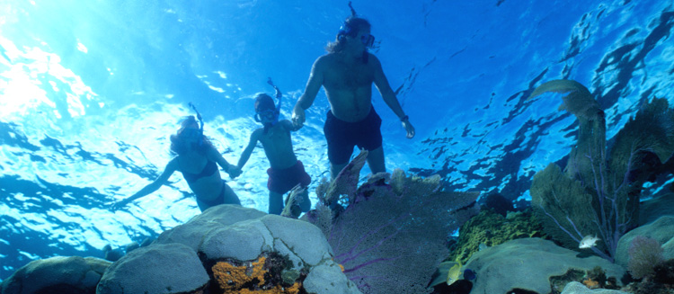 snorkeling